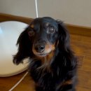 OK365공인중개사사무소 이미지