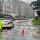 빛고을대로 이미지