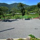 진북편백골관광농원캠핑장 이미지