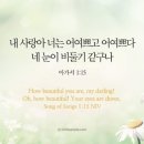 가장 아름다운 노래 이미지