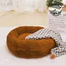 둥지애견 이미지