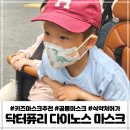 퓨리키즈 | 키즈마스크 닥터퓨리 다이노스 미세먼지 황사마스크 KF80 새부리형 추천
