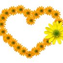 구미초등 병설 이미지