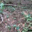 오서1천 이미지