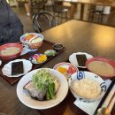 메시56 | 강릉 맛집, 강릉에서의 새로운 맛 일식의 정석 <메시56> 내돈내산 후기 (카이센동, 카쿠니 정식)