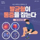 이얀아펙스 이미지