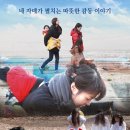 에스엠지홀딩스(주)