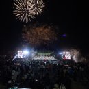 제야의 종 타종식 이미지