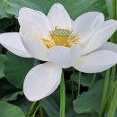 왕송호수공원 이미지