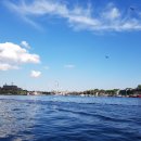 킹스가든(King´s Garden) 이미지