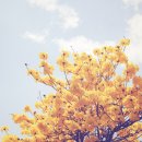 (주)비씨엠 이미지