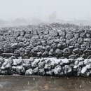 브니엘하우스 이미지