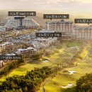 소노캄 델피노 A . B 이미지