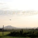 라떼는말이야 이미지