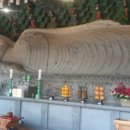 춤추는갈매기 이미지