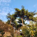 솔토락 팬션 이미지