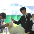 유어라운지 이미지