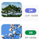 전남외국어고등학교 | (특목고/외국어고) 전남외국어고등학교 2025 신입생 입학안내, 학교안내​​