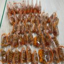 요셉유치원 이미지