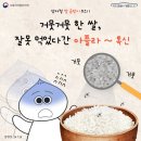 곰팡이 예방을 위한 올바른 쌀 보관법 이미지