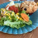 한스 강아지방 이미지