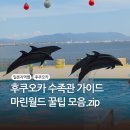 돌고래 | 후쿠오카 하카타 마린월드 페리 입장료 돌고래쇼 후기