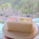 벚꽃카페