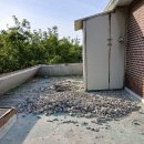 오늘 큰일을 했다. 이미지