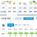8월4일(월)국립중앙박물관 베롱나무(우중출사)찰영ㅡ3시 이미지