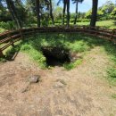 온평리-7 이미지