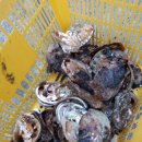 김재덕농장 이미지