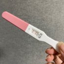 금곡우체국 1층 | [임신] 40주 기록 - 임신 초기