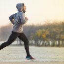 스밀로짐 이미지