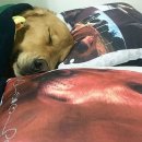 옹기종기 이미지