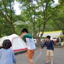 비슬산 숲속 오토캠핑장 이미지