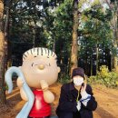 지민37 이미지