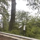 애견별장 이미지