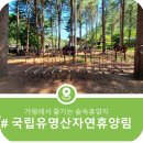 국립유명산자연휴양림 | 가평에서 즐기는 숲속 휴양지, 국립유명산 자연휴양림
