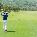 에스엔에스 스크린골프 이미지