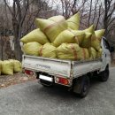 거제자연휴양림 이미지