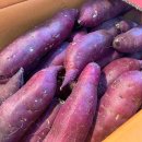 다름 과일 이미지