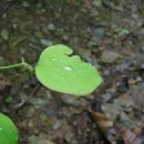 주말공원 네이버블로그