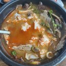 버스정류소_표선오일시장 | 2025.06.01-06.04 제주