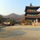 보련산 농장 이미지