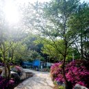 강변이야기펜션 이미지