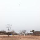 청양동강리오토캠핑장 이미지