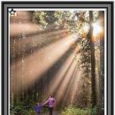 샛별아동심리발달센터 이미지