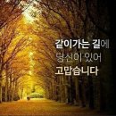 숙자매 이미지