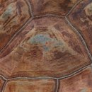 경희이웃한의원 이미지