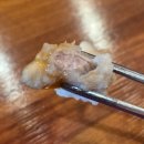 짬뽕면가 | [수원 고색동 맛집] 천년면가교동짬뽕 고색점 내돈내산 후기